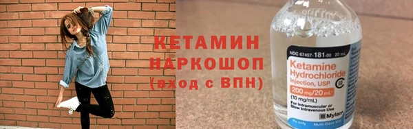 шишки Новозыбков