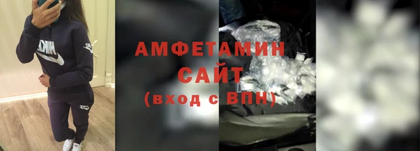 шишки Новозыбков