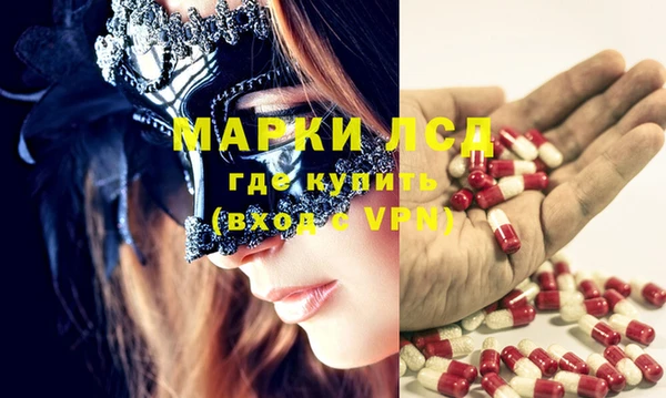 шишки Новозыбков