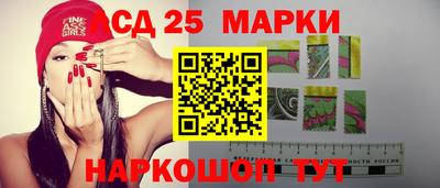 шишки Кандалакша
