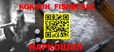 шишки Кандалакша