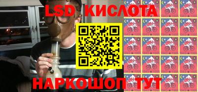 шишки Кандалакша