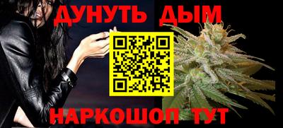 шишки Кандалакша