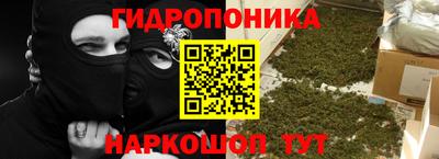 шишки Кандалакша