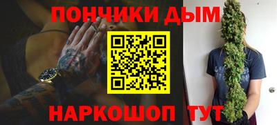 шишки Кандалакша