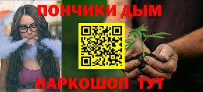 шишки Кандалакша