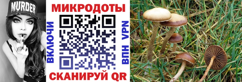 Псилоцибиновые грибы Magic Shrooms MEGA маркетплейс Лабытнанги