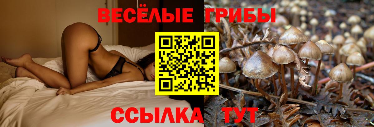 цена   Вход с VPN  Лабытнанги  Псилоцибиновые грибы мицелий 